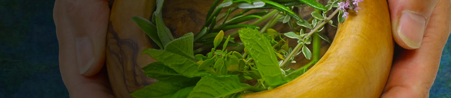 Nutrition Banner